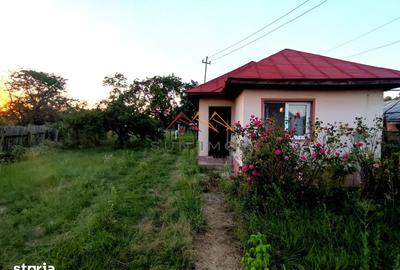 Casă cu 5 camere cu Teren 1483 Mp în Ariceștii Rahtivani