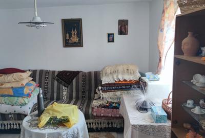 Casă individuală cu 2 camere cu Teren 2000 Mp în Davideni - 9