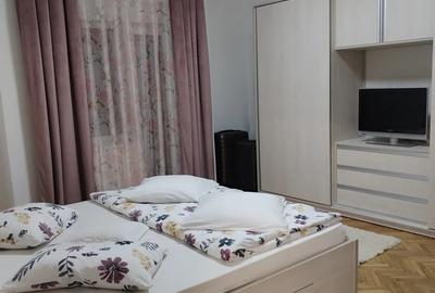 Casă cu 4 camere cu Teren 1500 Mp în Vinga - 6