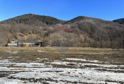 Teren de 1340 mp, în Gârcina - 5