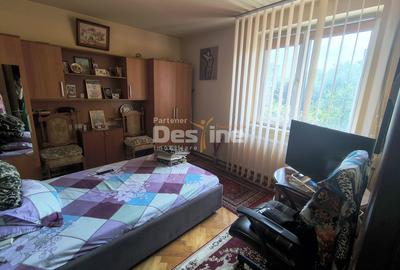 Apartament cu 2 camere semidecomandat, mobilat în George Enescu - 4