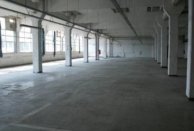 Spațiu industrial, de 3,500 mp, în Gheorghe Doja - 2