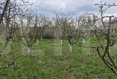 Casă cu 2 camere cu Teren 2700 Mp în Dorohoi