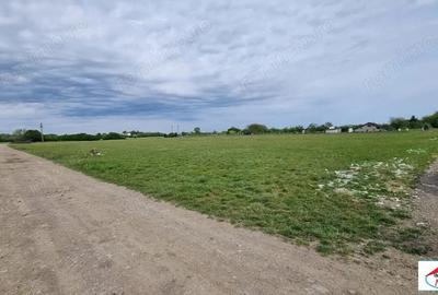 Teren de 5000 mp, în Careiului - 2