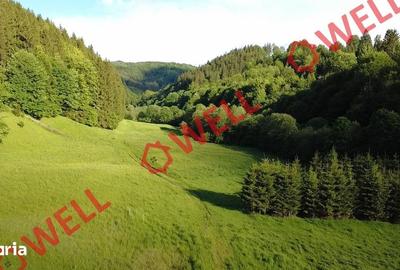 Teren de 57000 mp, în Vama Buzăului - 5