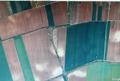 Teren de 8000 mp, în Moara Vlăsiei - 1