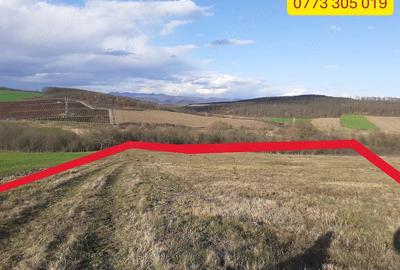 Teren de 20790 mp, în Jeledinți - 10
