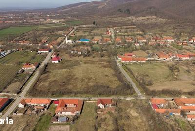 Casă cu 8 camere cu Teren 7235 Mp în Traian Vuia - 1