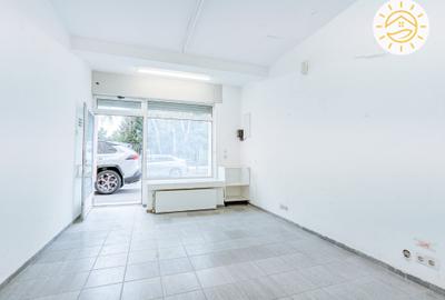 Spațiu comercial, de 17 mp, în Florilor