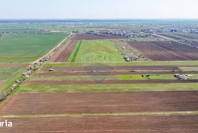 Teren de 500 mp, în Săbăreni