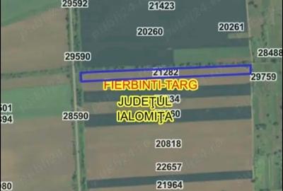 Teren agricol intravilan de 10000 mp, în Fierbinți-Târg - 1