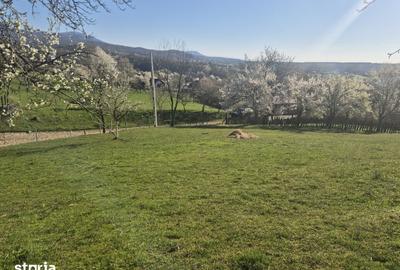 Casă cu 3 camere cu Teren 2586 Mp în Central - 6