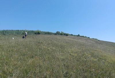 Teren de 5800 mp, în Apahida