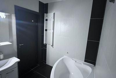 Apartament cu 2 camere semidecomandat, mobilat în Roșu - 2