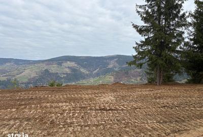 Teren de 1819 mp, în Horea - 2