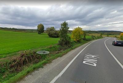 Teren de 42000 mp, în Șeica Mare - 1
