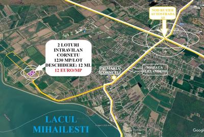 Teren intravilan de 1230 mp, în Cornetu