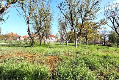 Casă individuală cu 5 camere cu Canalizare în Sud - 43