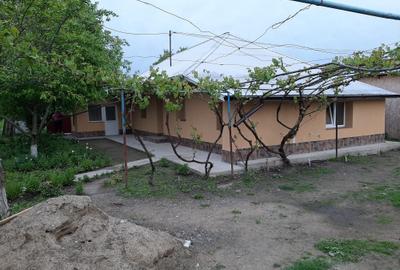 Casă cu 4 camere în Prisăcani - 1