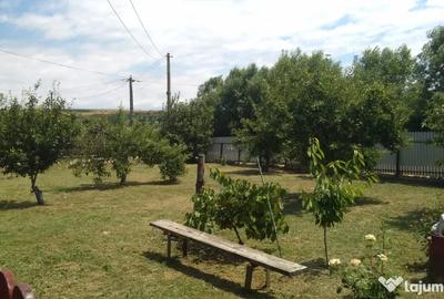 Casă cu 3 camere în Podu Turcului