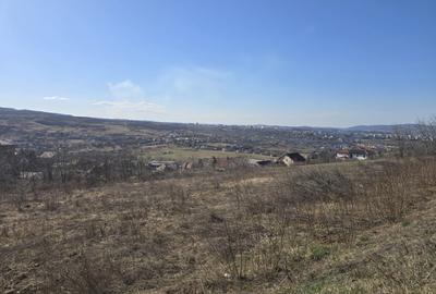 Teren Construcții intravilan de 2900 mp, în Borhanci - 1