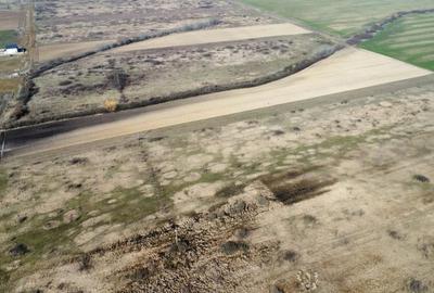 Teren Construcții extravilan de 24000 mp, în Moșnița Nouă - 3