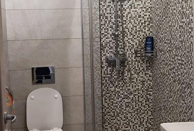 Apartament cu 2 camere decomandat în Banat - 10
