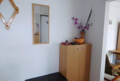 Apartament cu 2 camere semidecomandat în Gheorgheni - 8