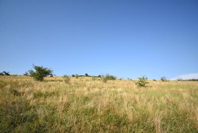Teren agricol extravilan de 16800 mp, în Chinteni - 3