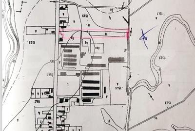 Teren Construcții intravilan de 15513 mp, în Costeștii din Vale