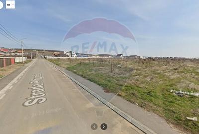 Teren de 4862 mp, în Bordei - 4