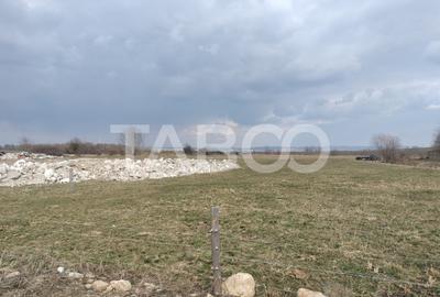 Teren Construcții extravilan de 16310 mp, în Industrial Vest - 1