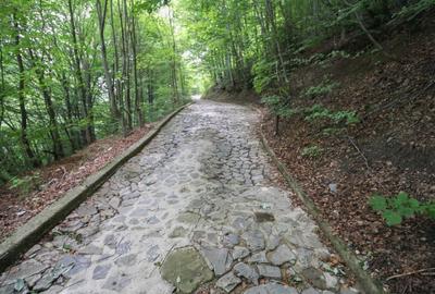 Teren Construcții intravilan de 299 mp, în Sinaia
