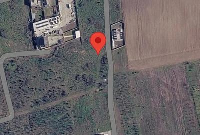 Teren de 1300 mp, în Sud - 2