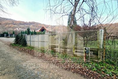 Teren Construcții intravilan de 2900 mp, în Vest - 1