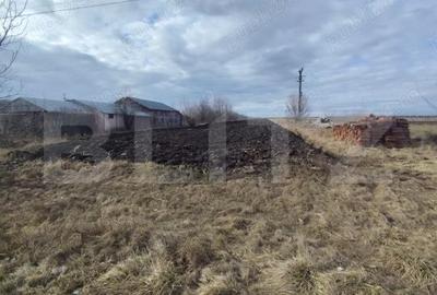 Teren de 7500 mp, în Moara - 2