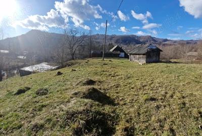 Teren de 1800 mp, în Bradu - 1