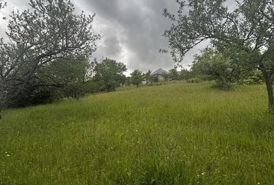 Teren de 30 mp, în Copalnic - 4