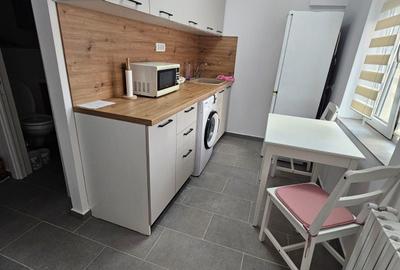 Apartament cu 2 camere decomandat în Ultracentral - 2
