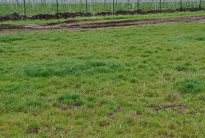 Teren de 27000 mp, în Vânători - 2