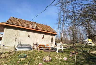 Casă cu 2 camere în Telega - 3