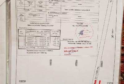Teren agricol extravilan de 33100 mp, în Glina - 11