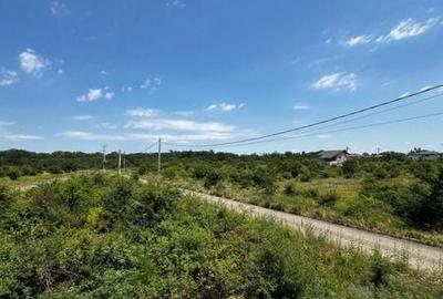 Casă cu 4 camere cu Teren 115 Mp în Clinceni - 8