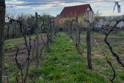 Casă cu 4 camere în Central - 3