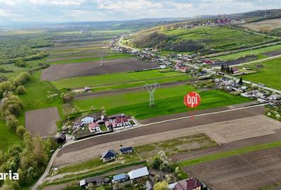 Teren de 6200 mp, în Forăști - 8