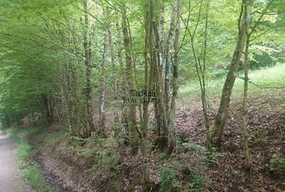 Teren de 3700 mp, în Bulzeștii de Sus