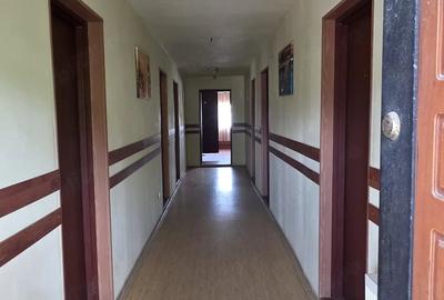 Spațiu comercial, de 700 mp, în Berzasca - 1