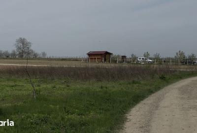 Teren de 500 mp, în Miroslava - 3