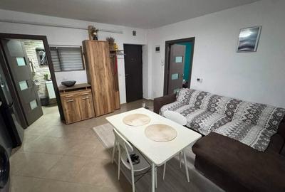 Apartament cu 2 camere nedecomandat în Valea Lupului - 1