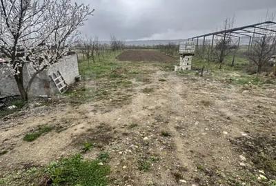 Casă cu 5 camere cu Teren 2400 Mp în Central